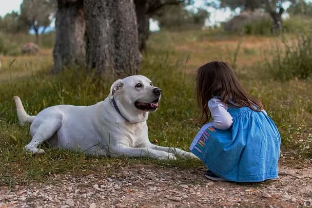 Les 5 gadgets de loisirs pour animer vos soirées créatives