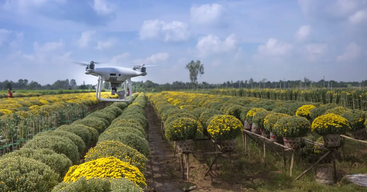 Tout savoir sur les drones de loisir