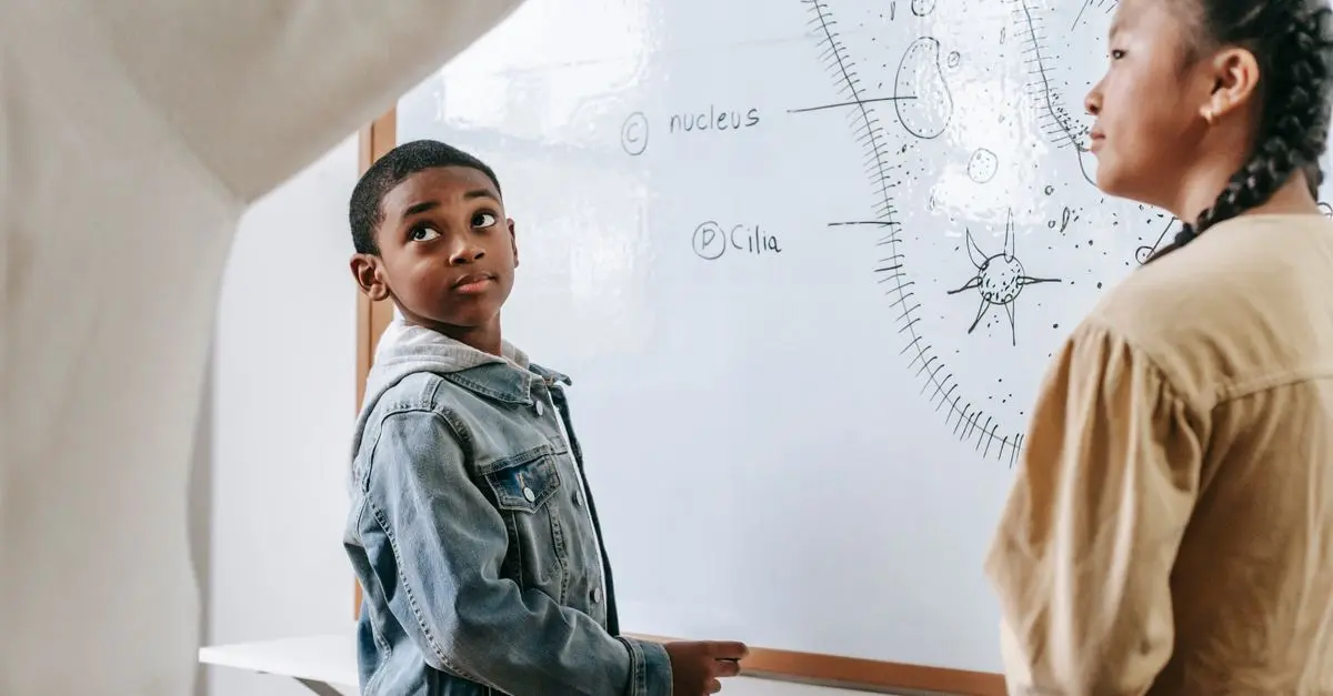 Tableaux interactifs : Nouvel outil éducatif